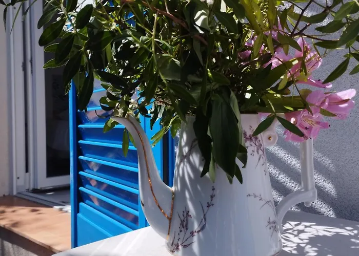 Floribel Casa de hóspedes