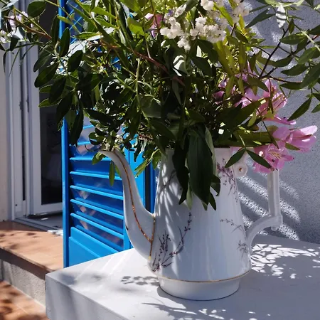 Floribel Maison d'hôtes